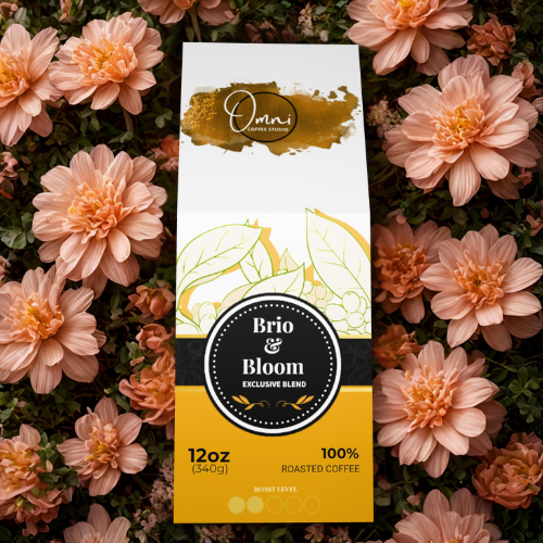 Omni Coffee Studio signature collection featuring distinct roast flavor profiles.